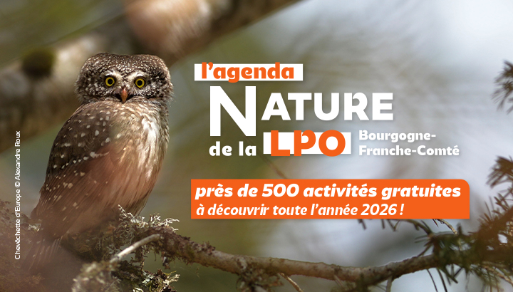 Nouvel agenda nature LPO BFC : 500 activités nature à découvrir en 2026 jusqu'en janvier 2027 !
